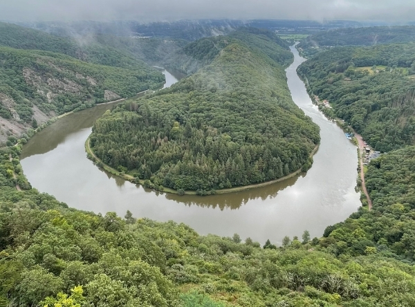 Baumwipfelpfad Saarschleife in Mettlach – Ausflug mit Kindern, Foto 2