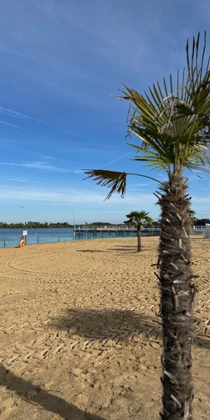 Zülpicher Seepark