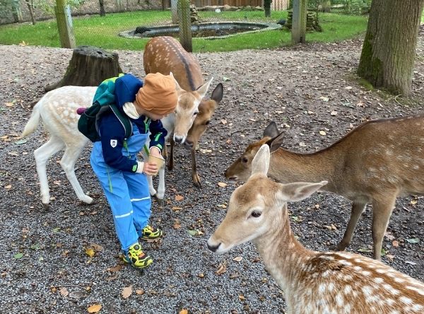 Wildparadies Tripsdrill in Cleebronn – Ausflug mit Kindern, Foto 4