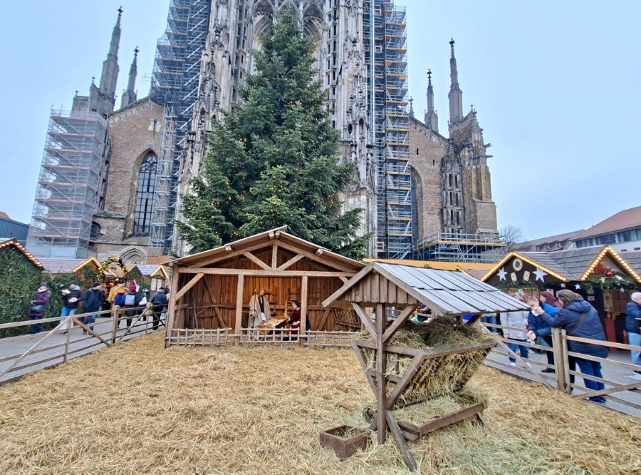 Weihnachtszauber rund ums Ulmer Münster – Ausflug mit Kindern, Foto 3
