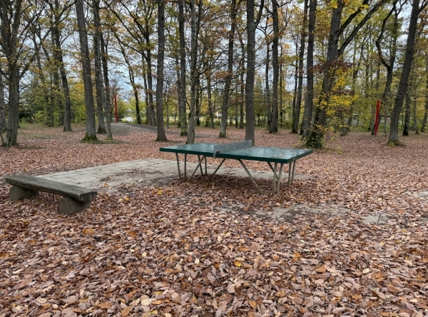 Waldspielplatz Reutlingen-Ohmenhausen – Ausflug mit Kindern, Foto 2