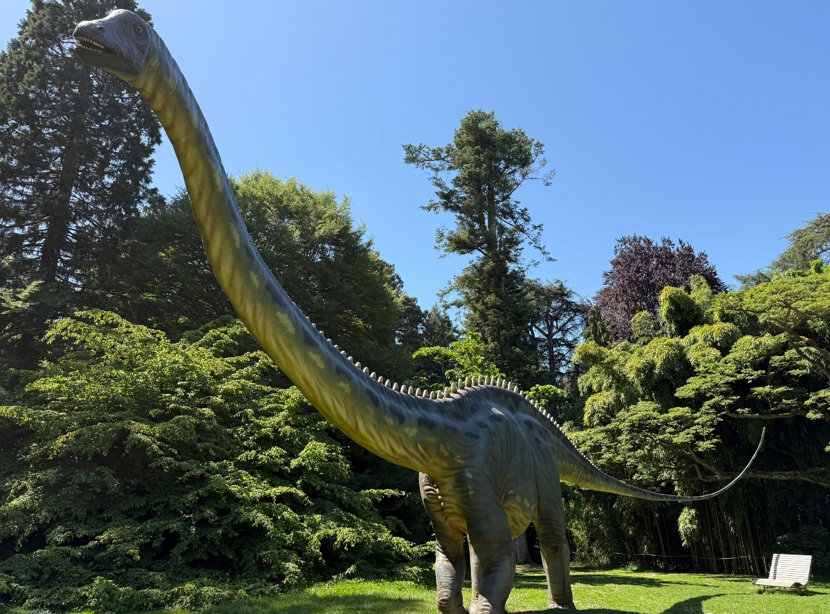Insel Mainau – Familienparadies Bodensee – Ausflug mit Kindern, Foto 2