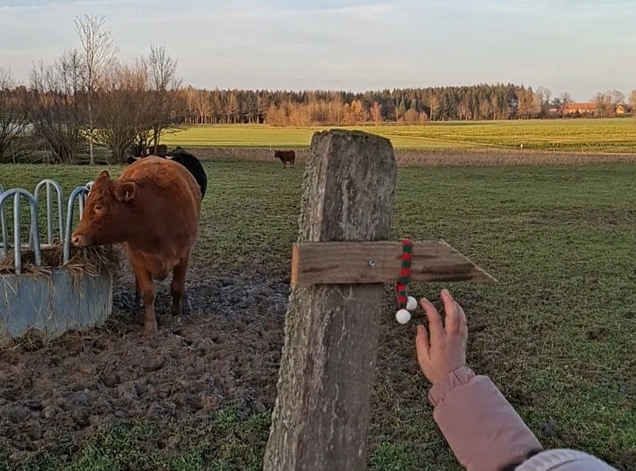 Das Wichtel-Mützen-Geheimnis – Ausflug mit Kindern, Foto 8