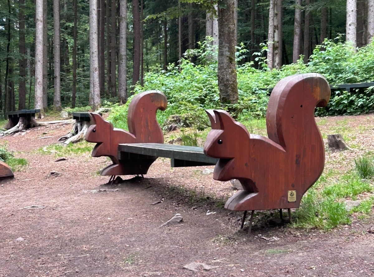 Kugelwaldpfad im Hochschwarzwald – Ausflug mit Kindern, Foto 2