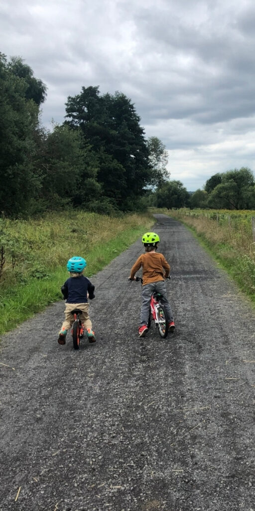 Thürer Wiesen Radweg in Thür