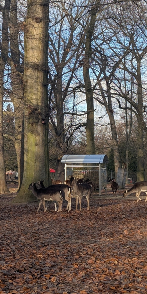 Gemeindepark Lankwitz in Berlin