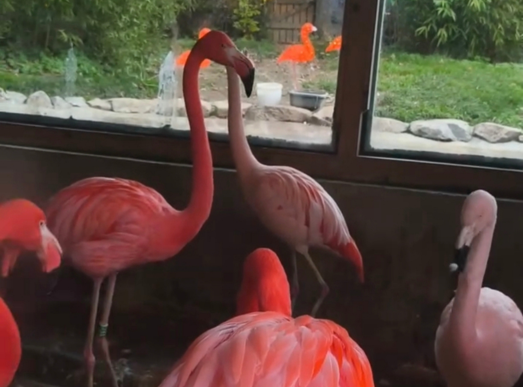 Tierpark Göppingen – Ausflug mit Kindern, Foto 3