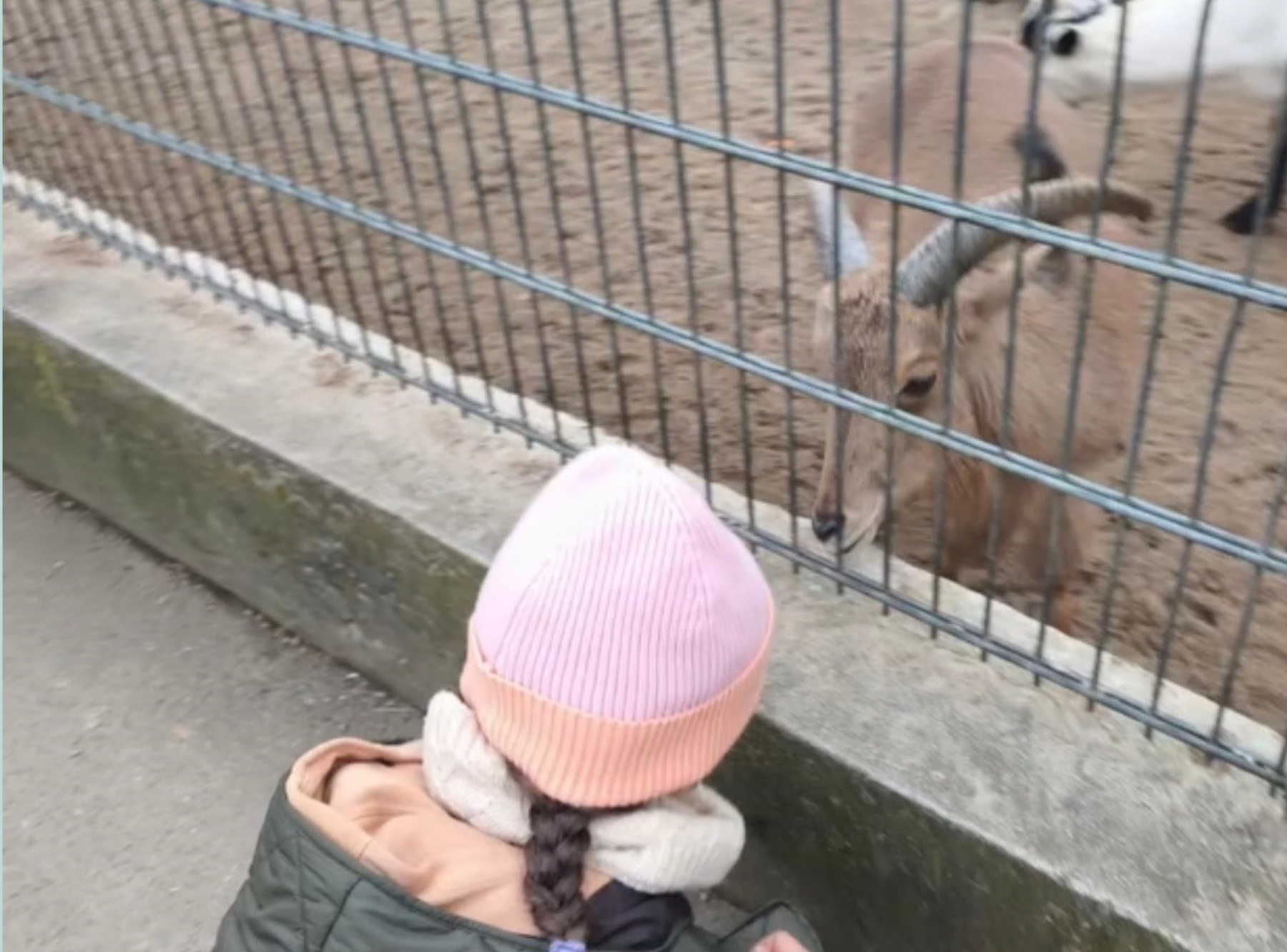 Tierpark Göppingen – Ausflug mit Kindern, Foto 7