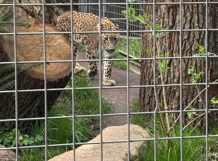Wilhelma Stuttgart – Ausflug mit Kindern, Foto 4