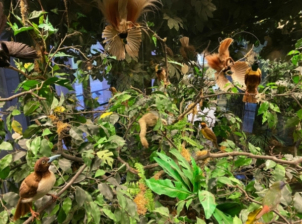 Naturkundemuseum Schloss Rosenstein in Stuttgart – Ausflug mit Kindern, Foto 7