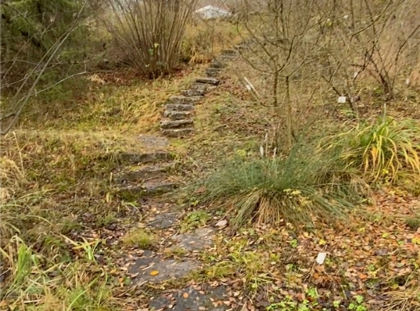 Botanischer Garten der Uni Tübingen – Ausflug mit Kindern, Foto 6