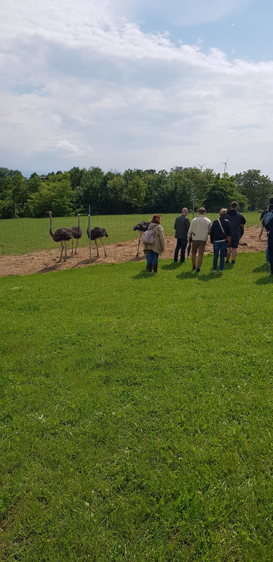 Straußenfarm Tannenhof in Schaafheim – Ausflug mit Kindern, Foto 4