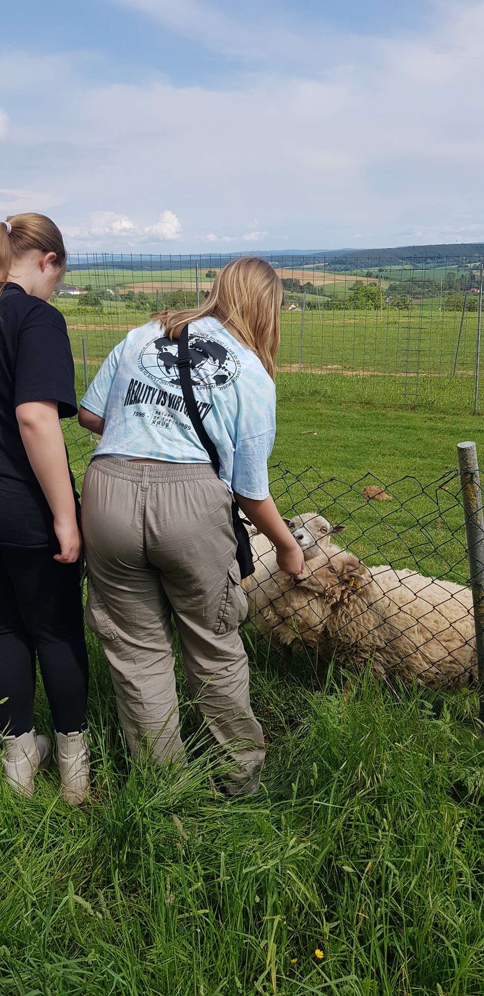 Straußenfarm Tannenhof in Schaafheim – Ausflug mit Kindern, Foto 7
