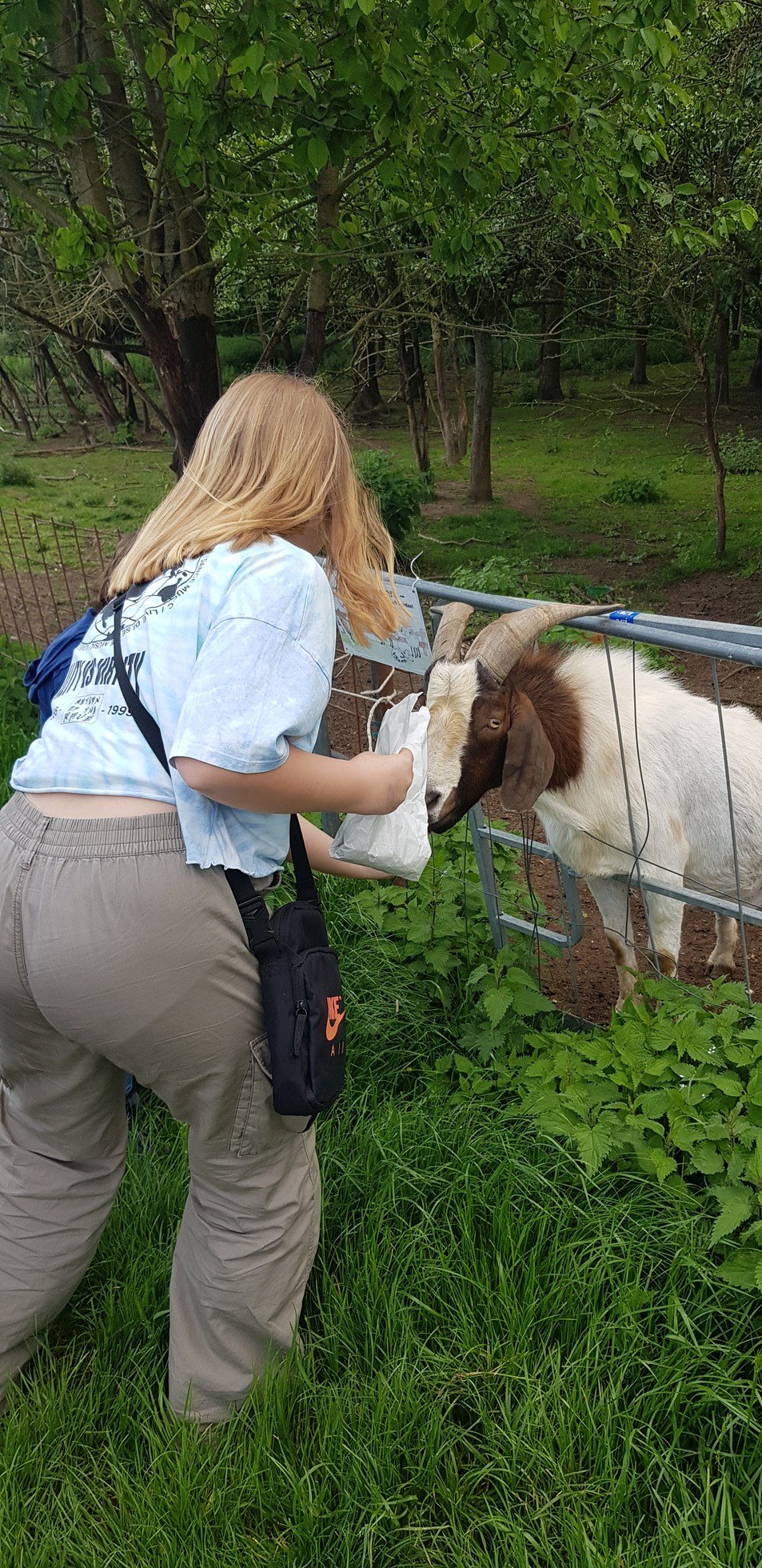 Straußenfarm Tannenhof in Schaafheim – Ausflug mit Kindern, Foto 8