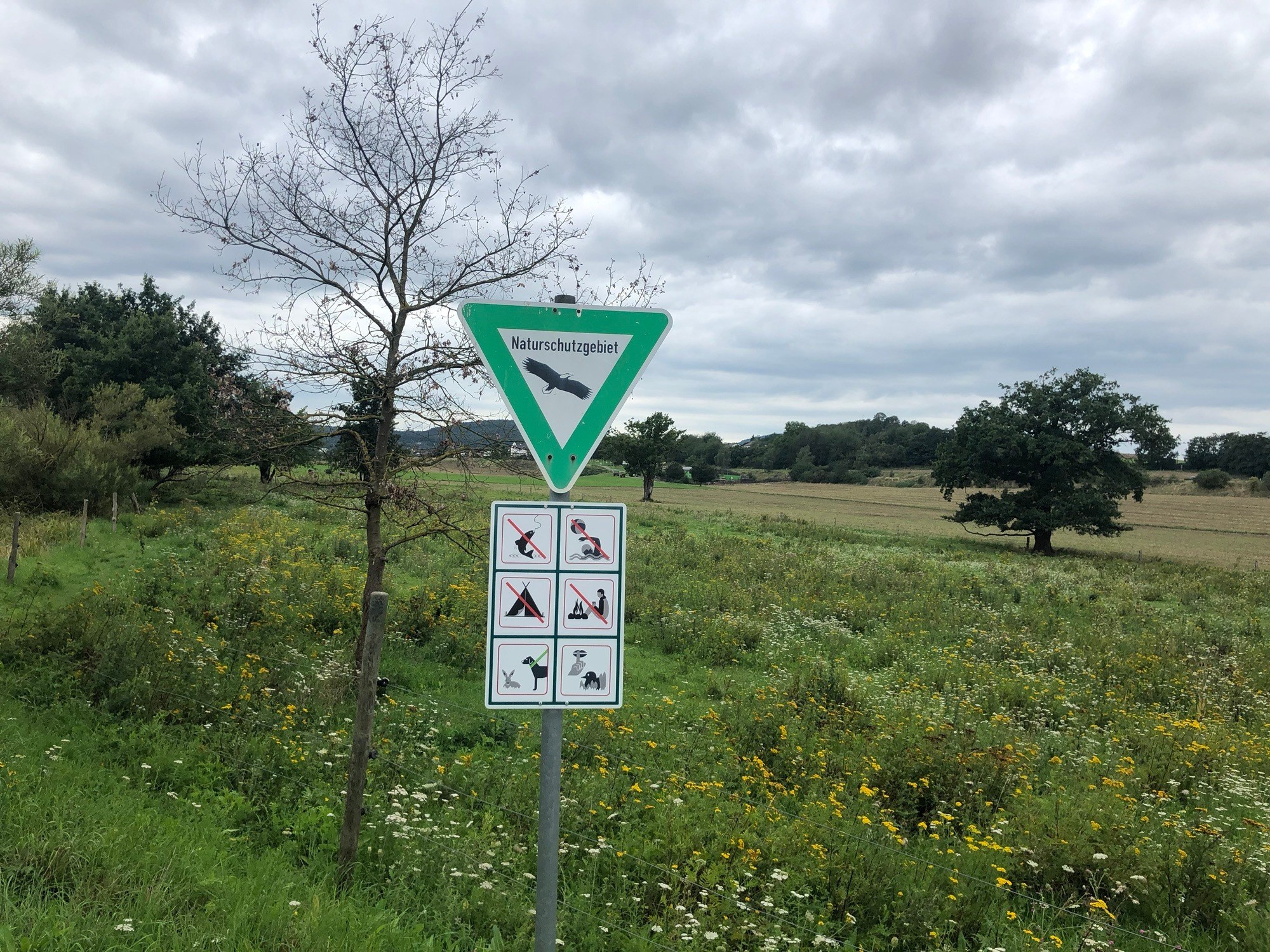 Thürer Wiesen Radweg in Thür – Ausflug mit Kindern, Foto 3