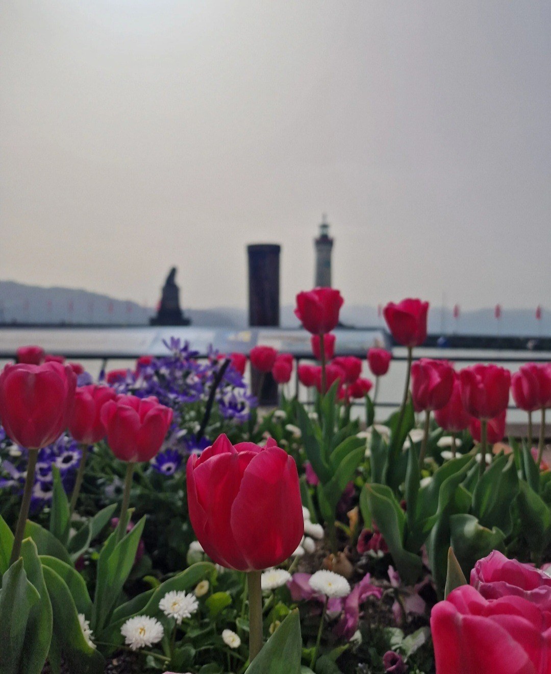 Leuchtturmabenteuer in Lindau – Ausflug mit Kindern, Foto 4