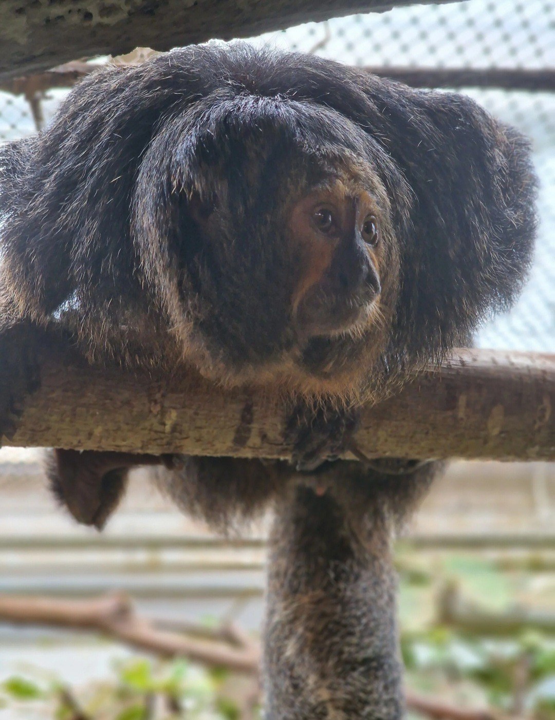 Walter Zoo Gossau – Ausflug mit Kindern, Foto 2