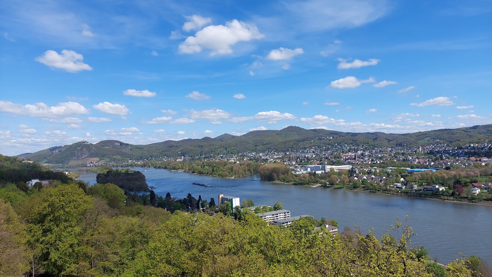 Wald- und Wildpark Rolandseck in Remagen – Ausflug mit Kindern, Foto 2