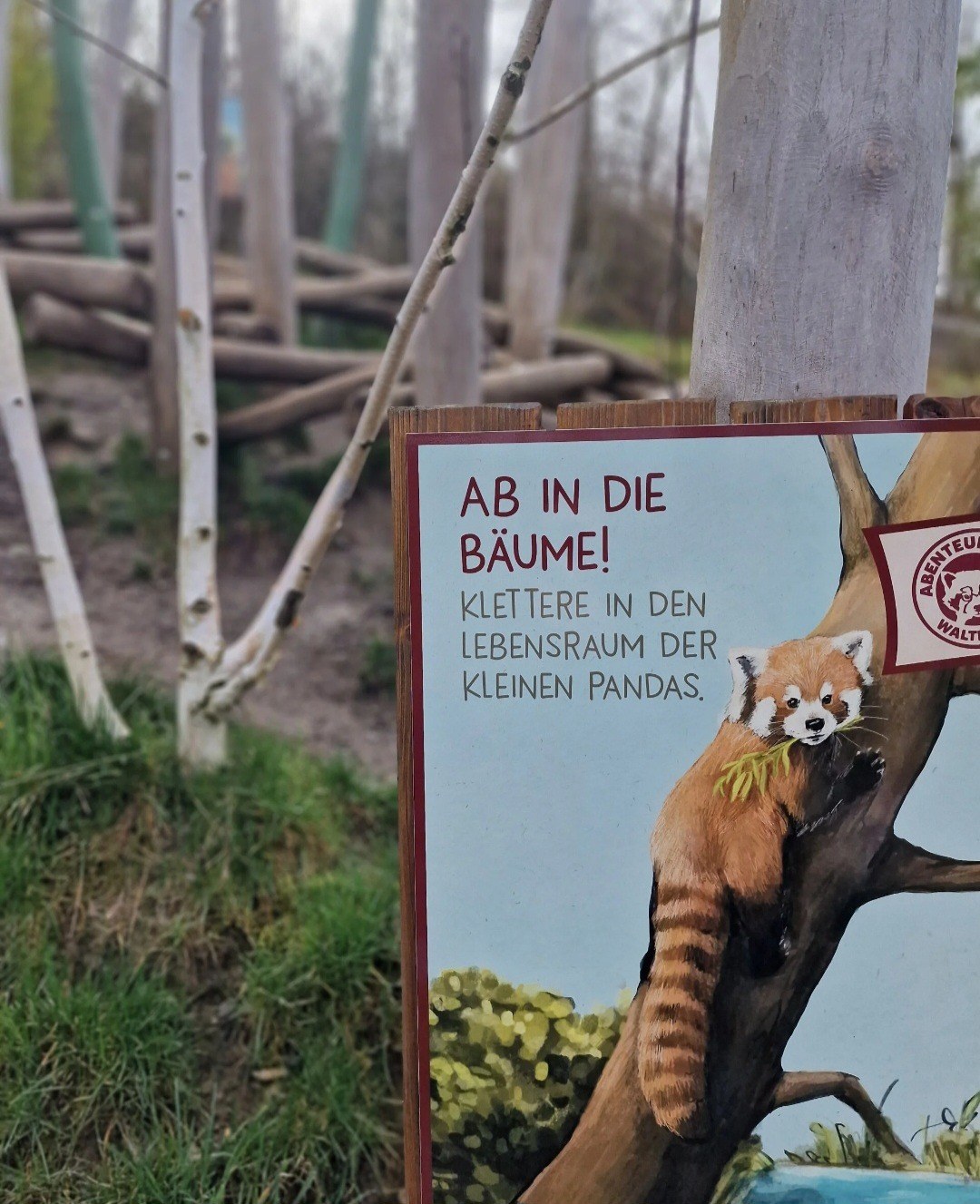 Walter Zoo Gossau – Ausflug mit Kindern, Foto 4