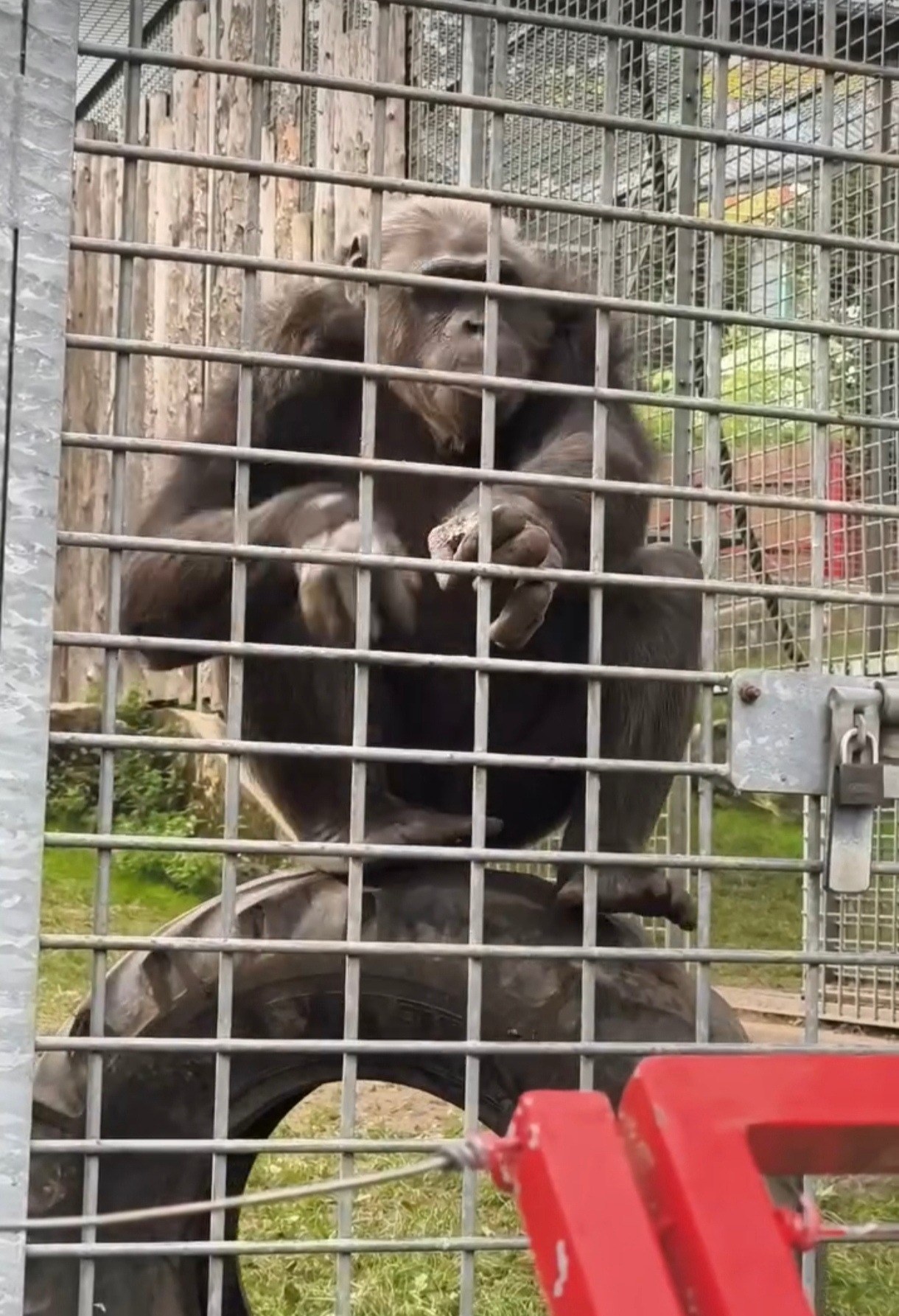 Schwabenpark Kaiserbach – Ausflug mit Kindern, Foto 4