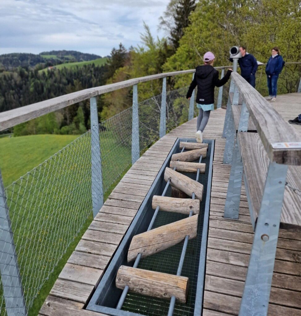 Baumwipfelpfad Neckartal mit Kugelglück in Mogelsberg