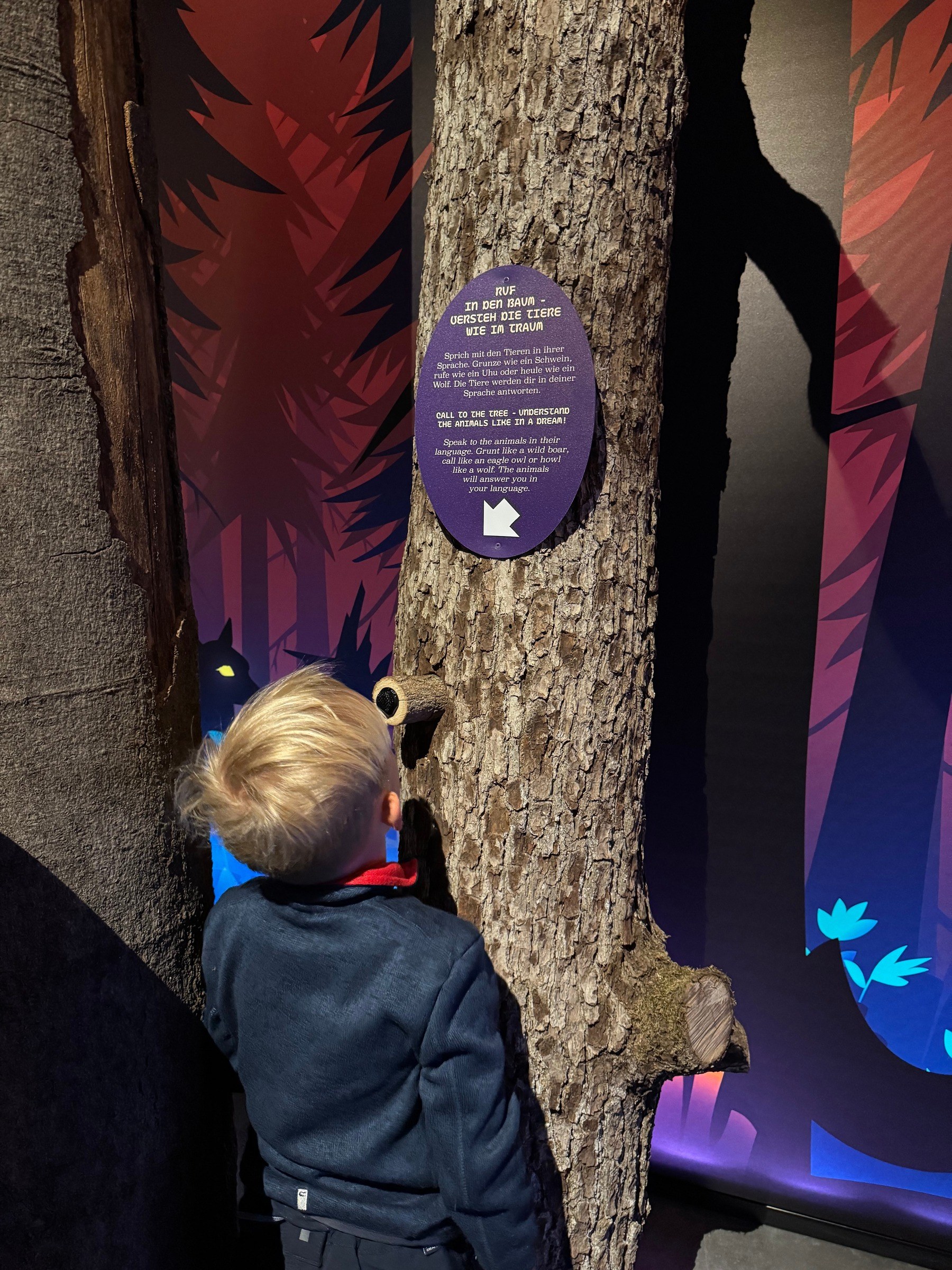 HEX Erlebniswelt – Magie im Harz – Ausflug mit Kindern, Foto 10