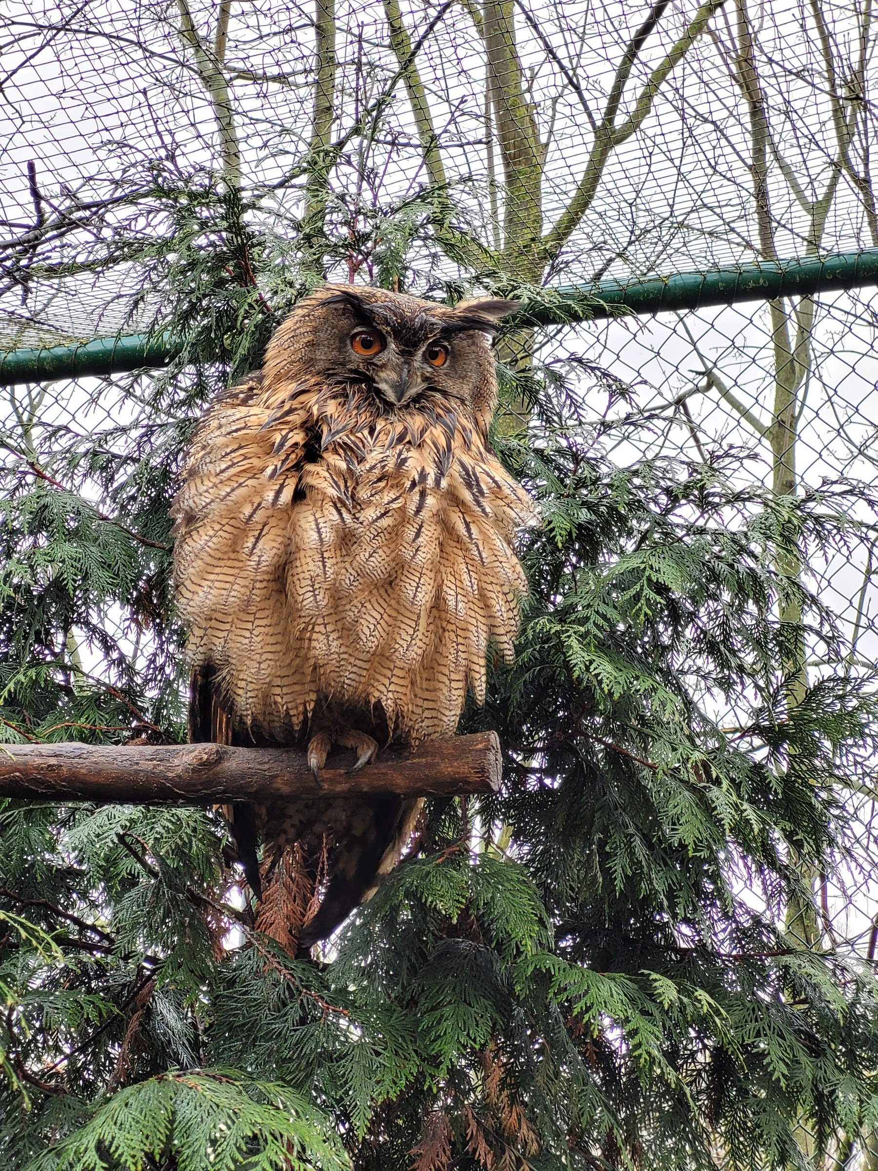 Brückenkopfpark Jülich – Ausflug mit Kindern, Foto 3