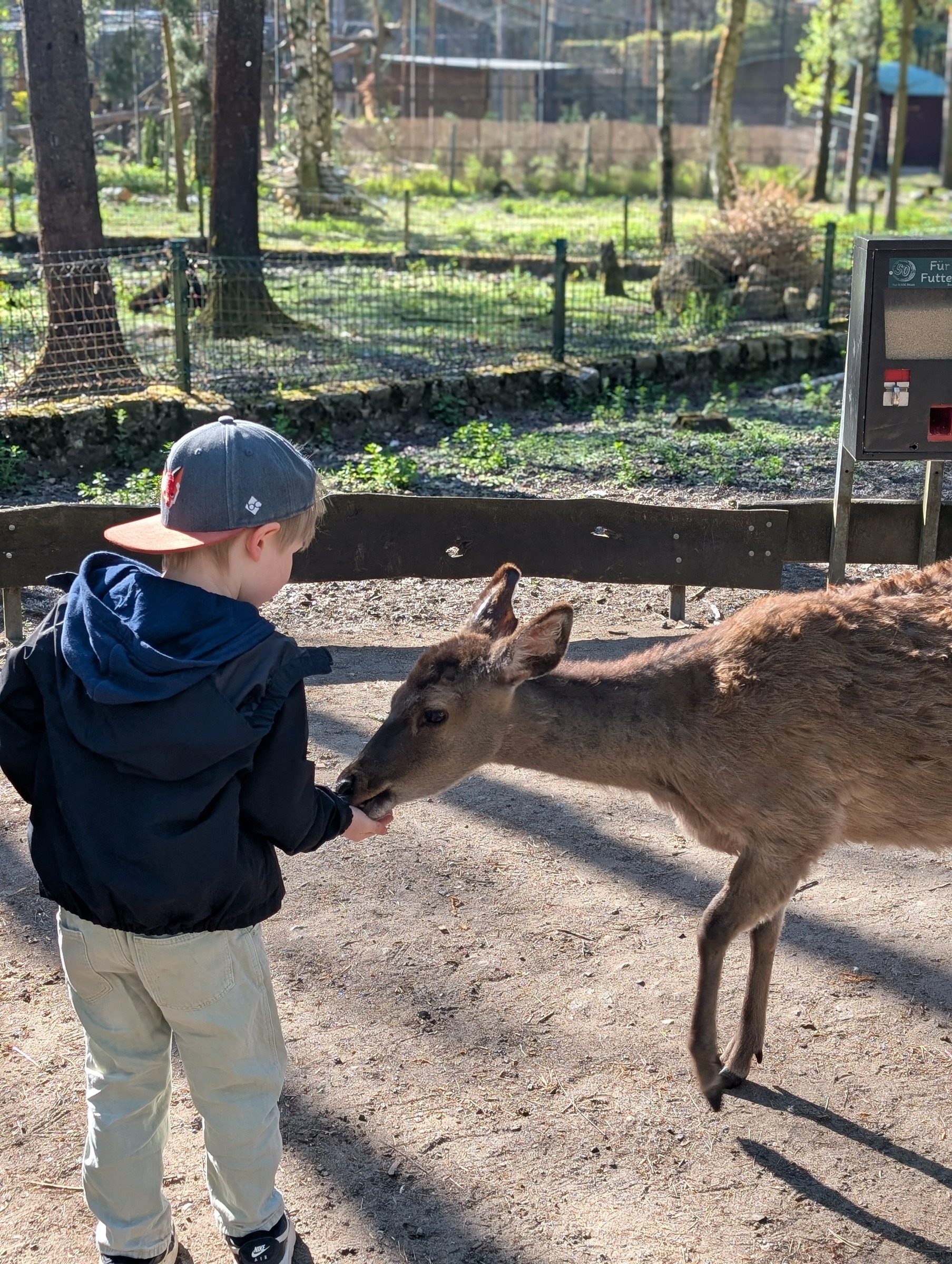 Tier- und Dinopark Germendorf – Ausflug mit Kindern, Foto 3