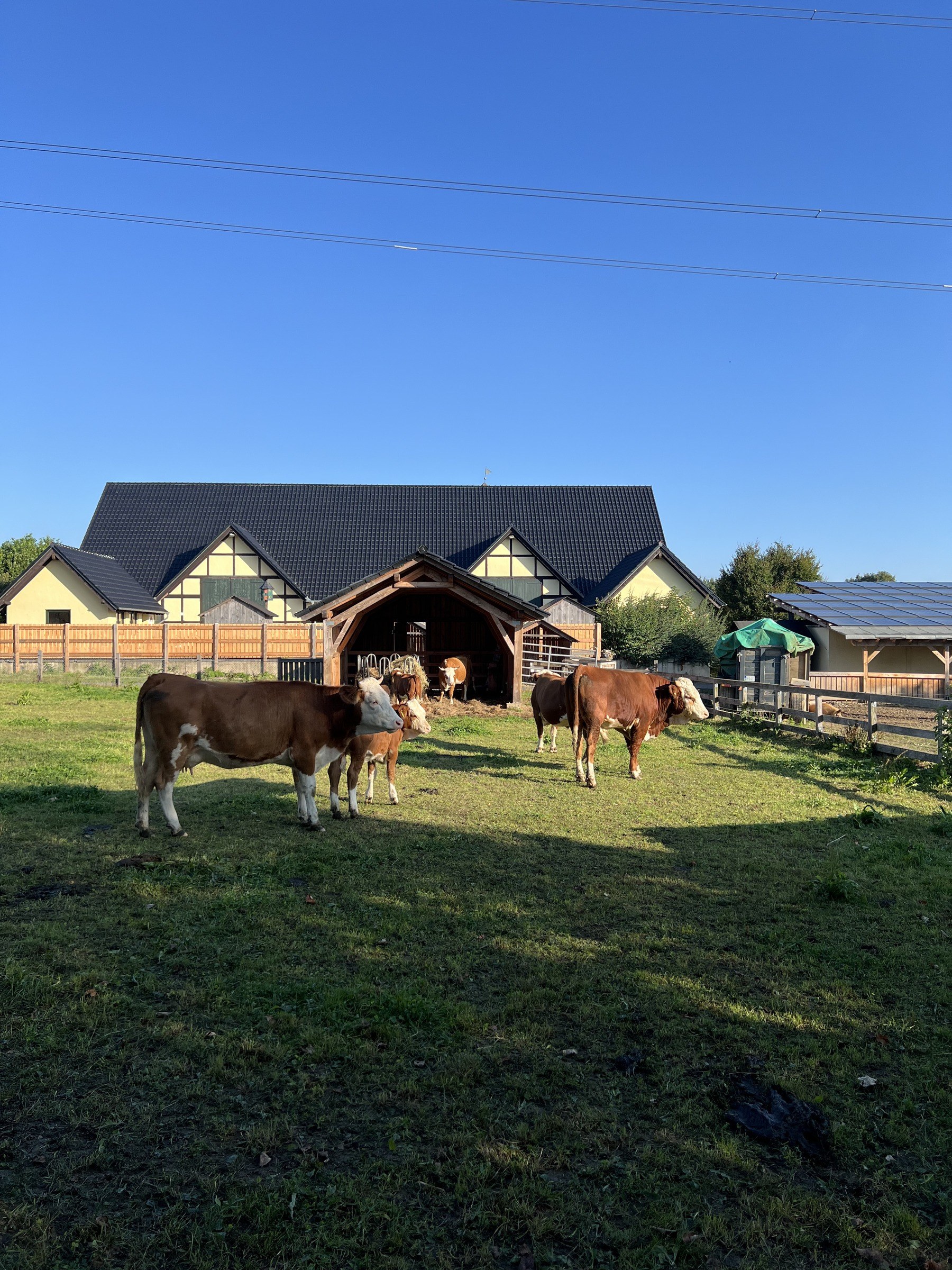 Glessener Mühlenhof – Ausflug mit Kindern, Foto 2
