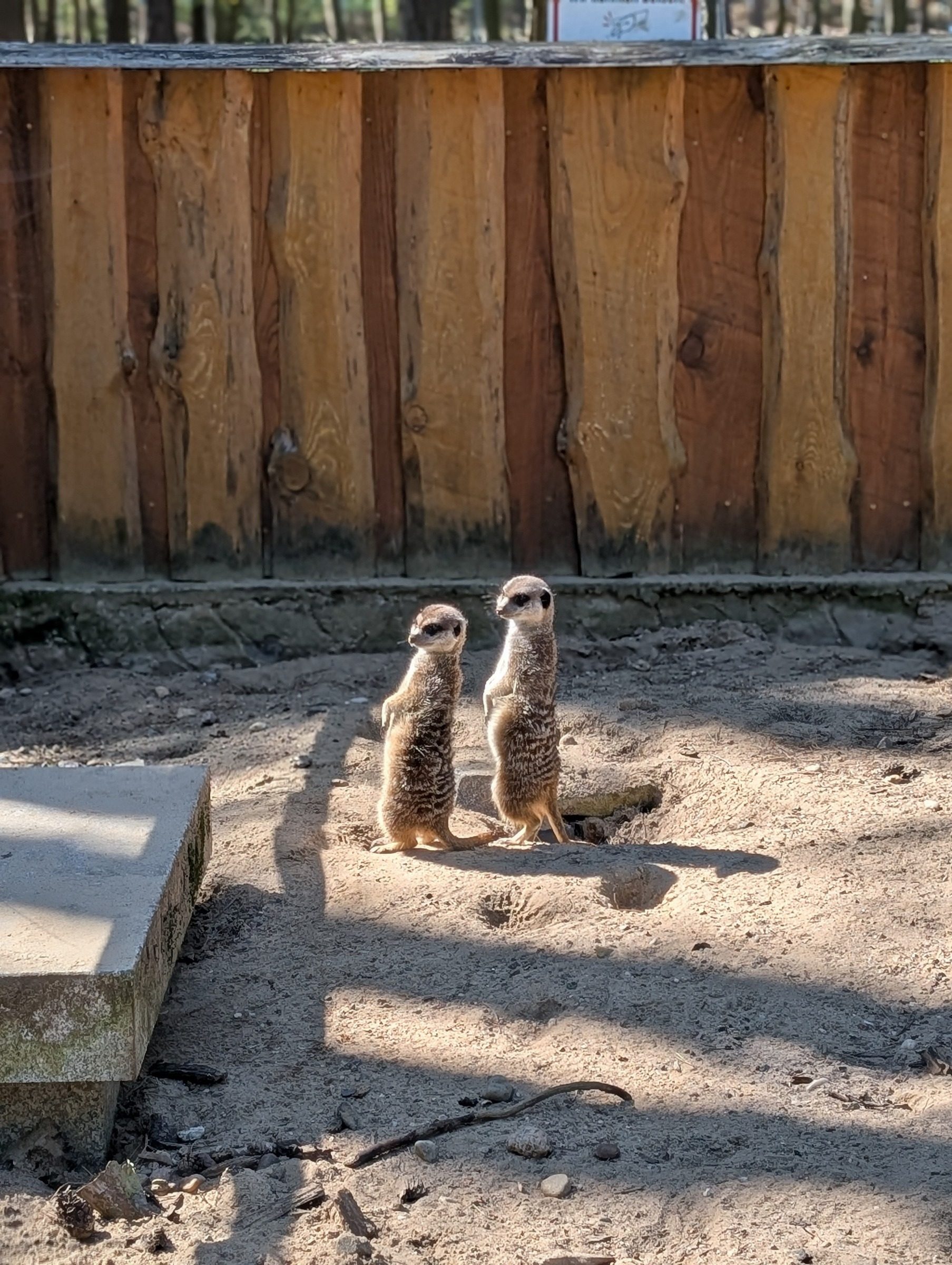 Tier- und Dinopark Germendorf – Ausflug mit Kindern, Foto 4