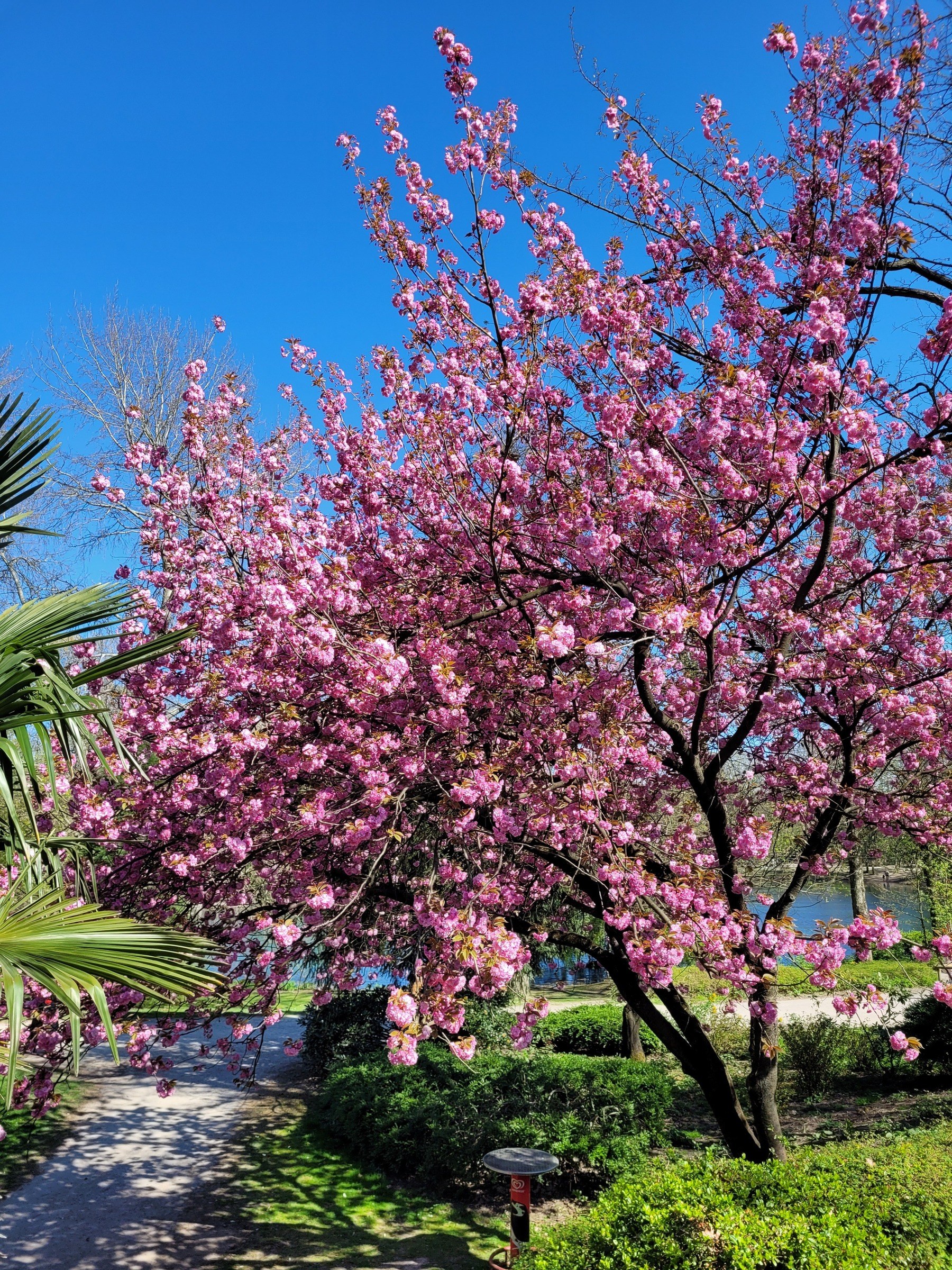 Kaisergarten Oberhausen – Ausflug mit Kindern, Foto 6
