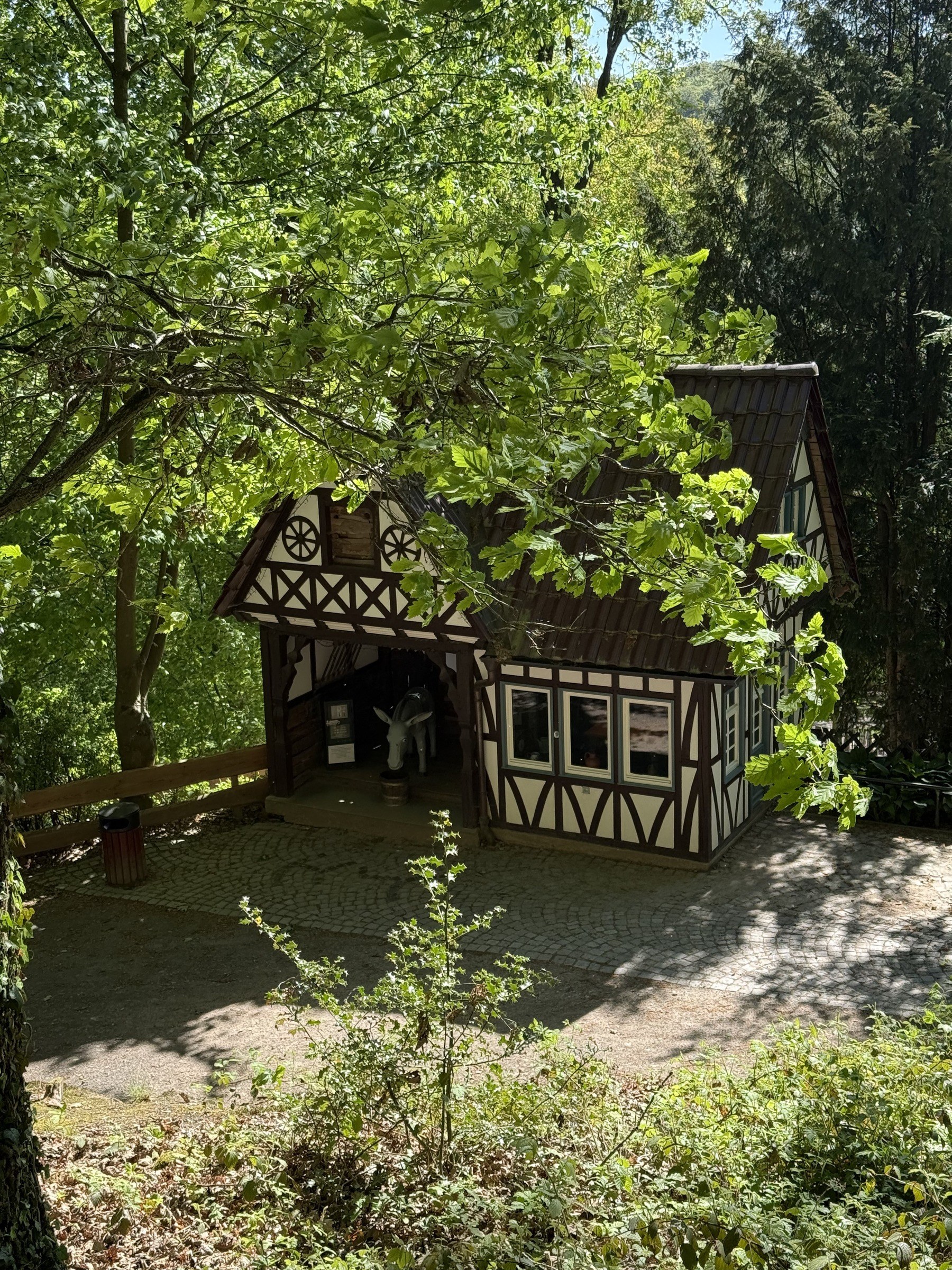 Märchenwald Altenberg in Odenthal – Ausflug mit Kindern, Foto 2