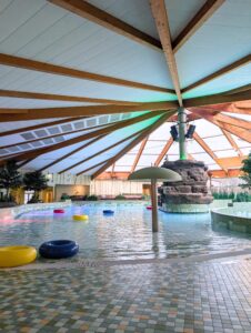 Mit Pinguinen schwimmen – Lübbenau