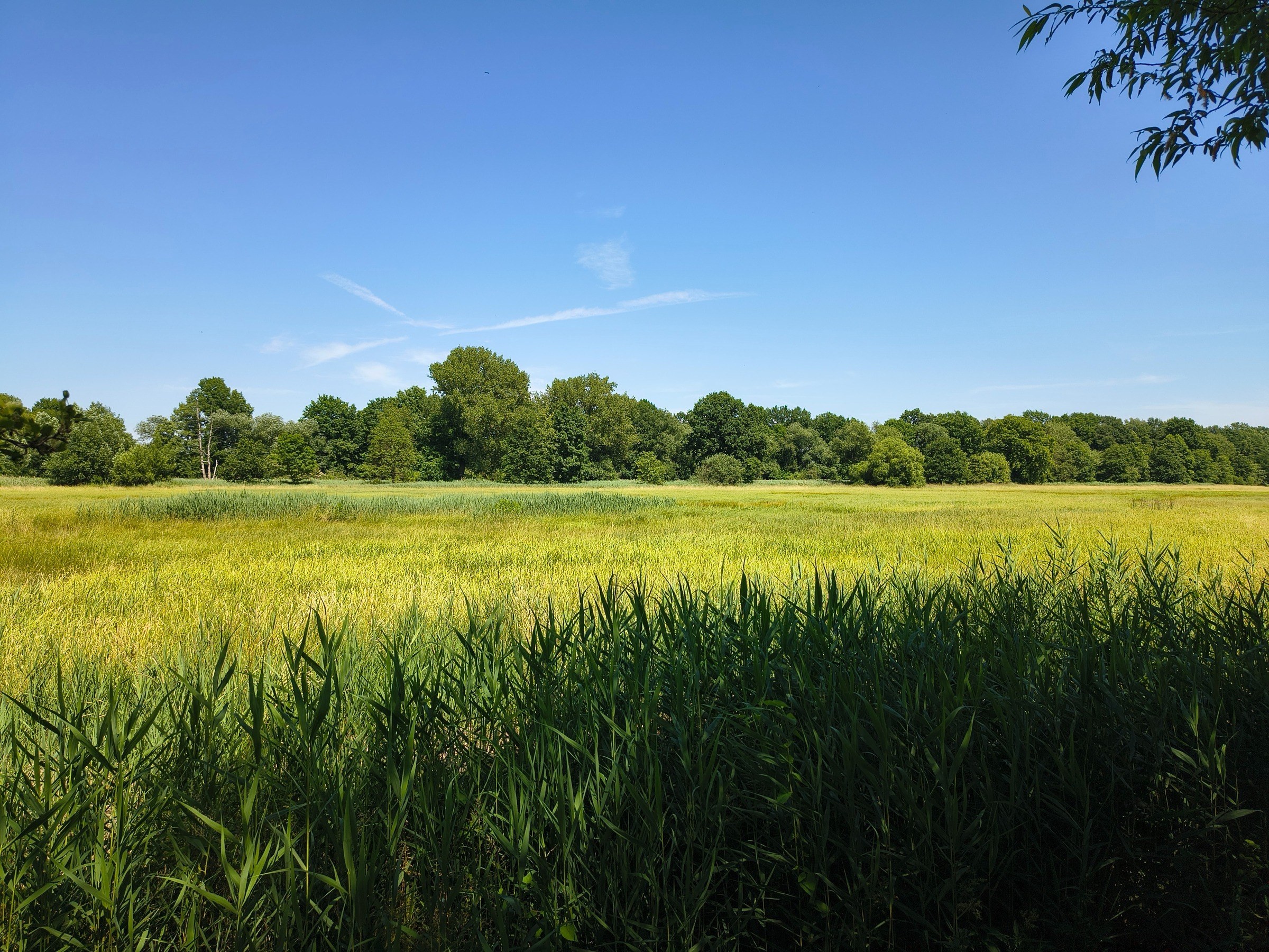 Naturerlebnispfad Oberlausitzer Teiche – Ausflug mit Kindern, Foto 2