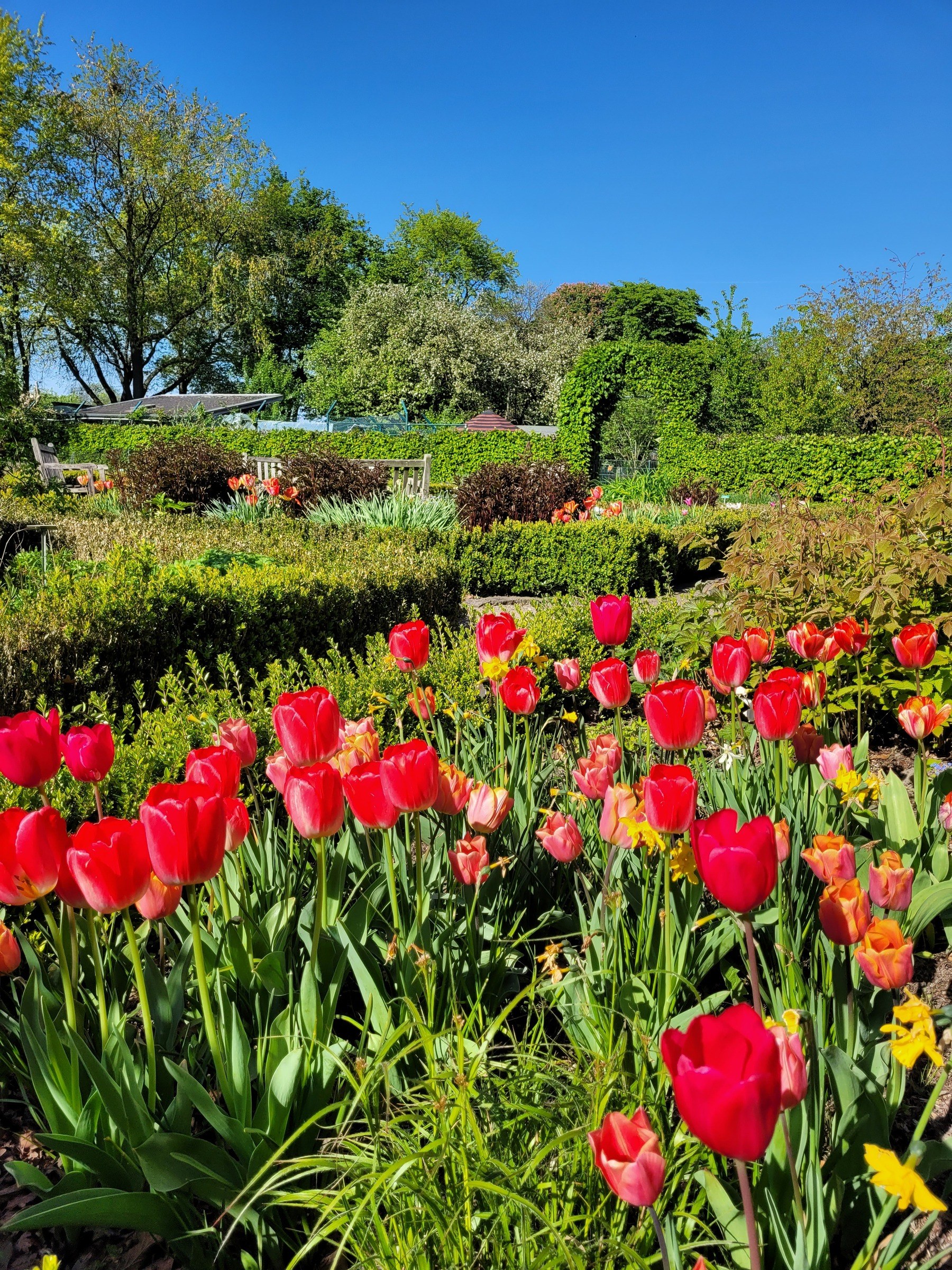 Südpark Düsseldorf – Ausflug mit Kindern, Foto 3