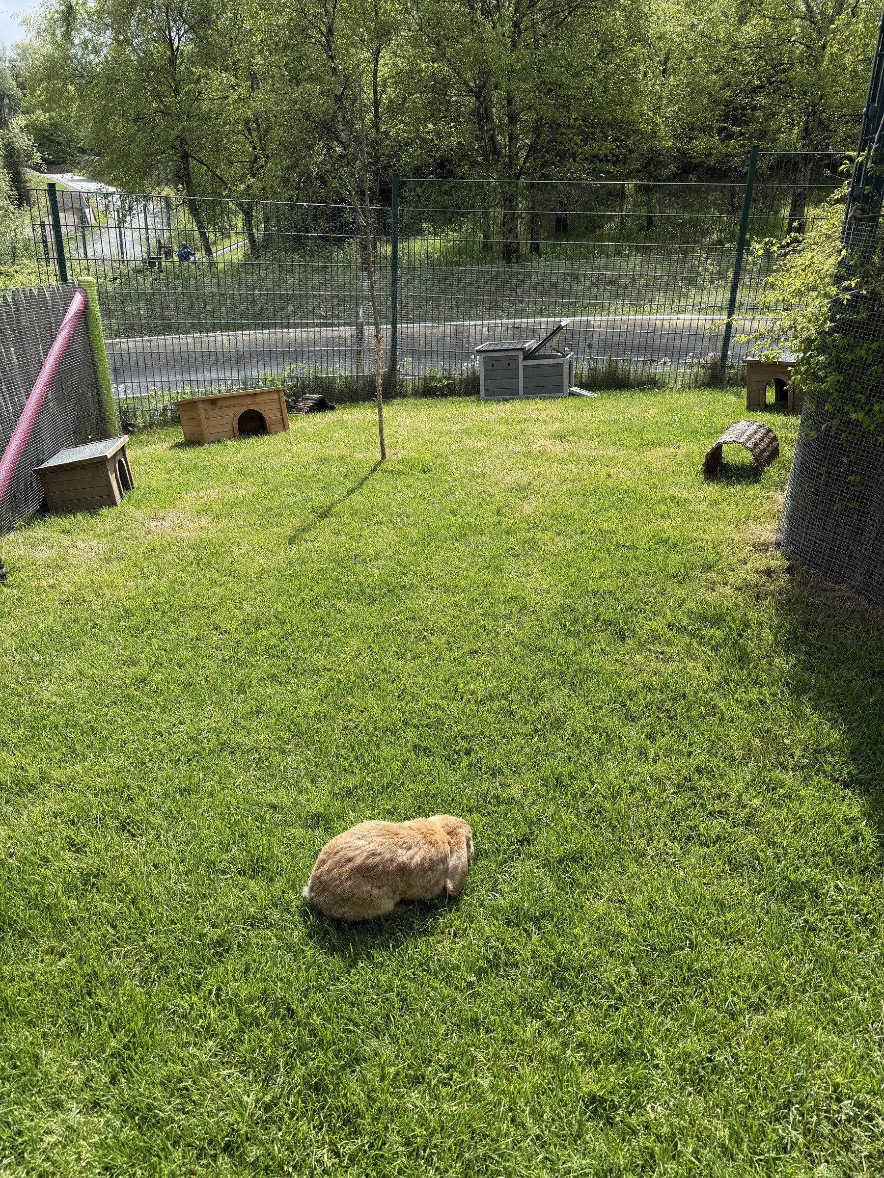 Panorama Restaurant & Café in Winterberg – Ausflug mit Kindern, Foto 3