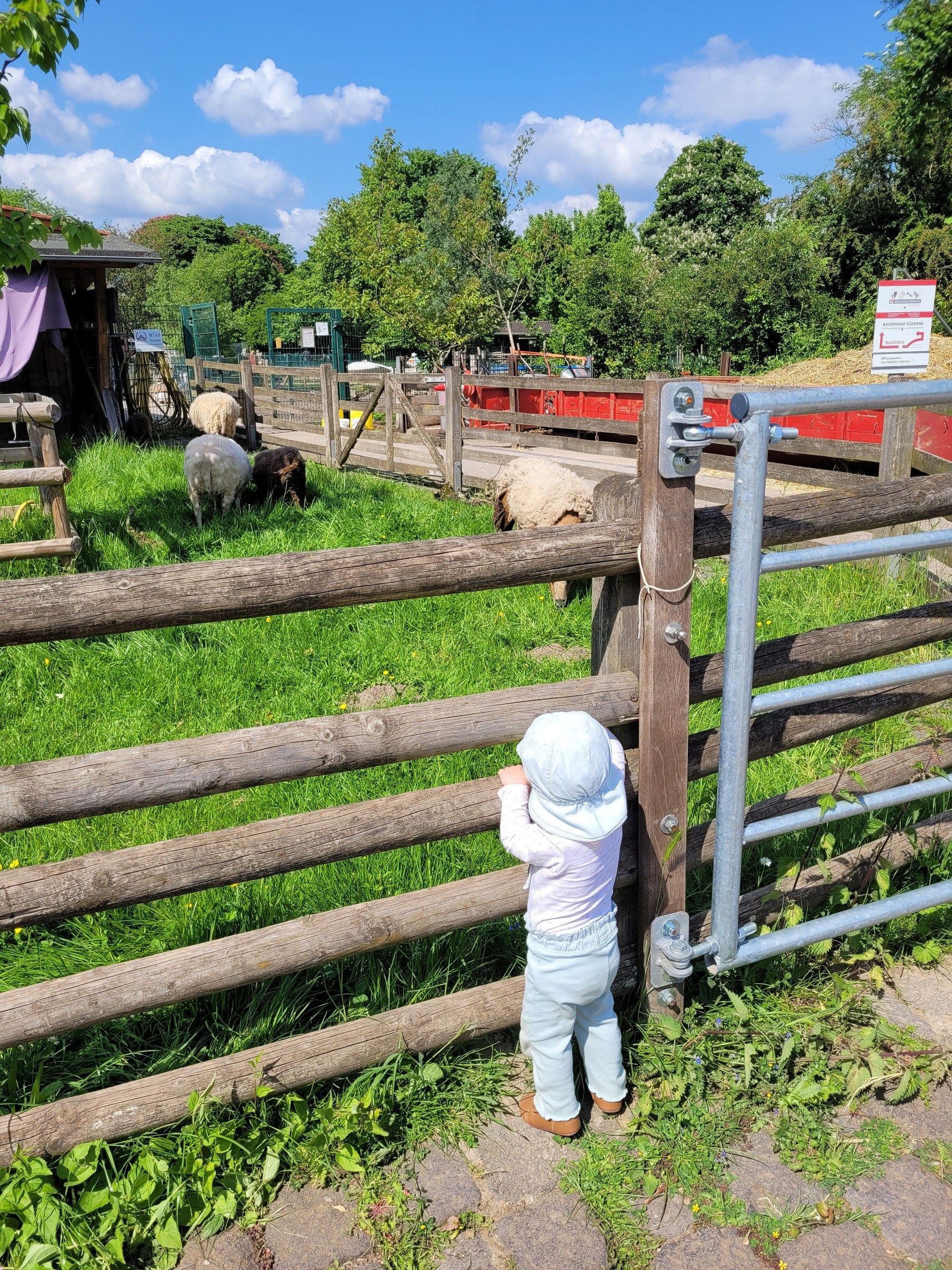 Südpark Düsseldorf – Ausflug mit Kindern, Foto 4