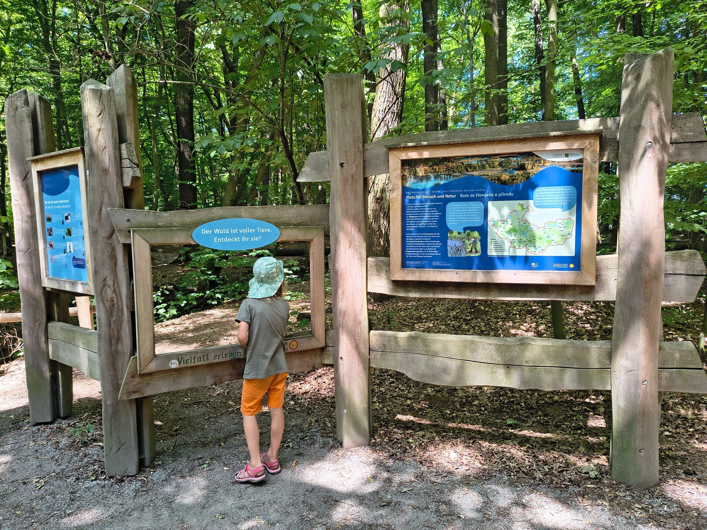 Naturerlebnispfad Oberlausitzer Teiche – Ausflug mit Kindern, Foto 3