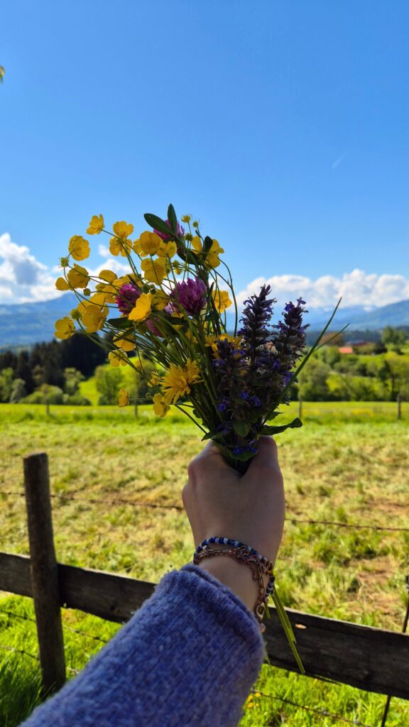 Familienzeit auf der Alpe Wachters