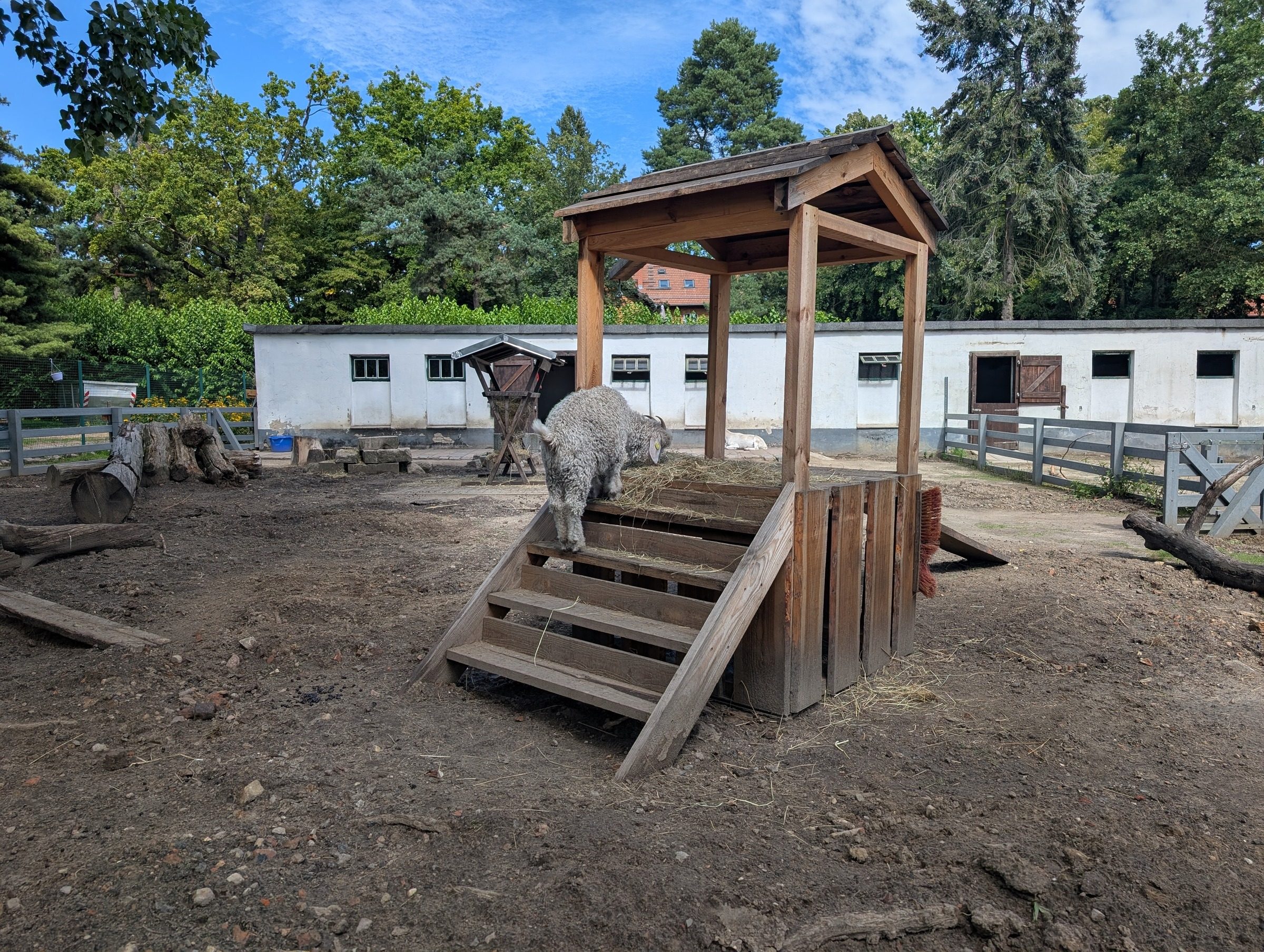 Kleintierhof Wuhletal – Ausflug mit Kindern, Foto 2