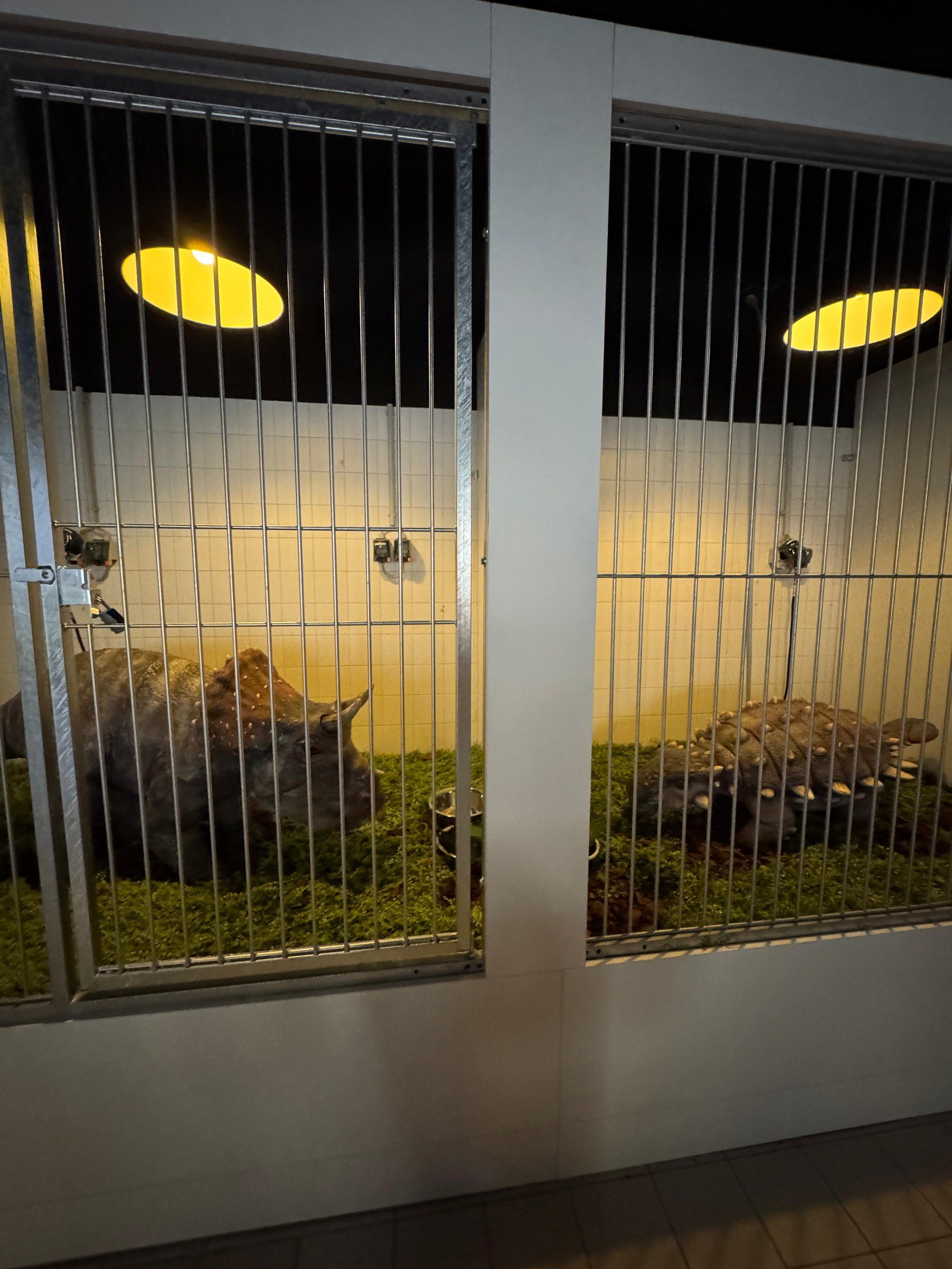 DinoXperience in Königswinter – Ausflug mit Kindern, Foto 3