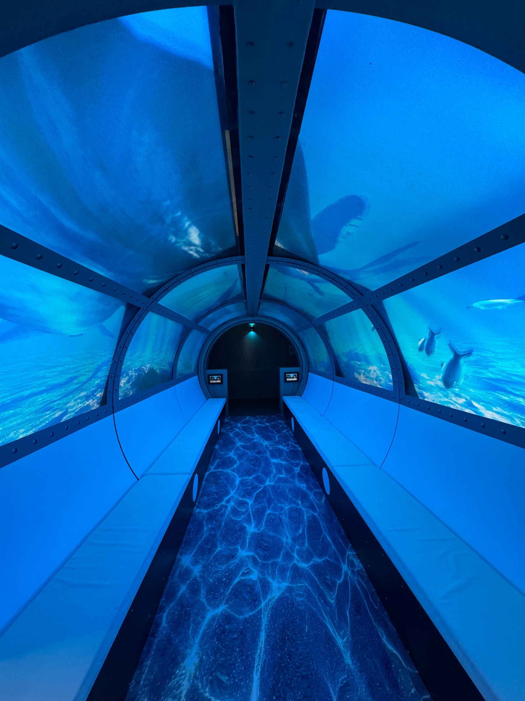 DinoXperience in Königswinter – Ausflug mit Kindern, Foto 4