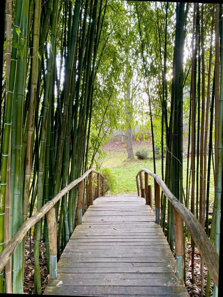 Botanischer Garten der Universität Tübingen