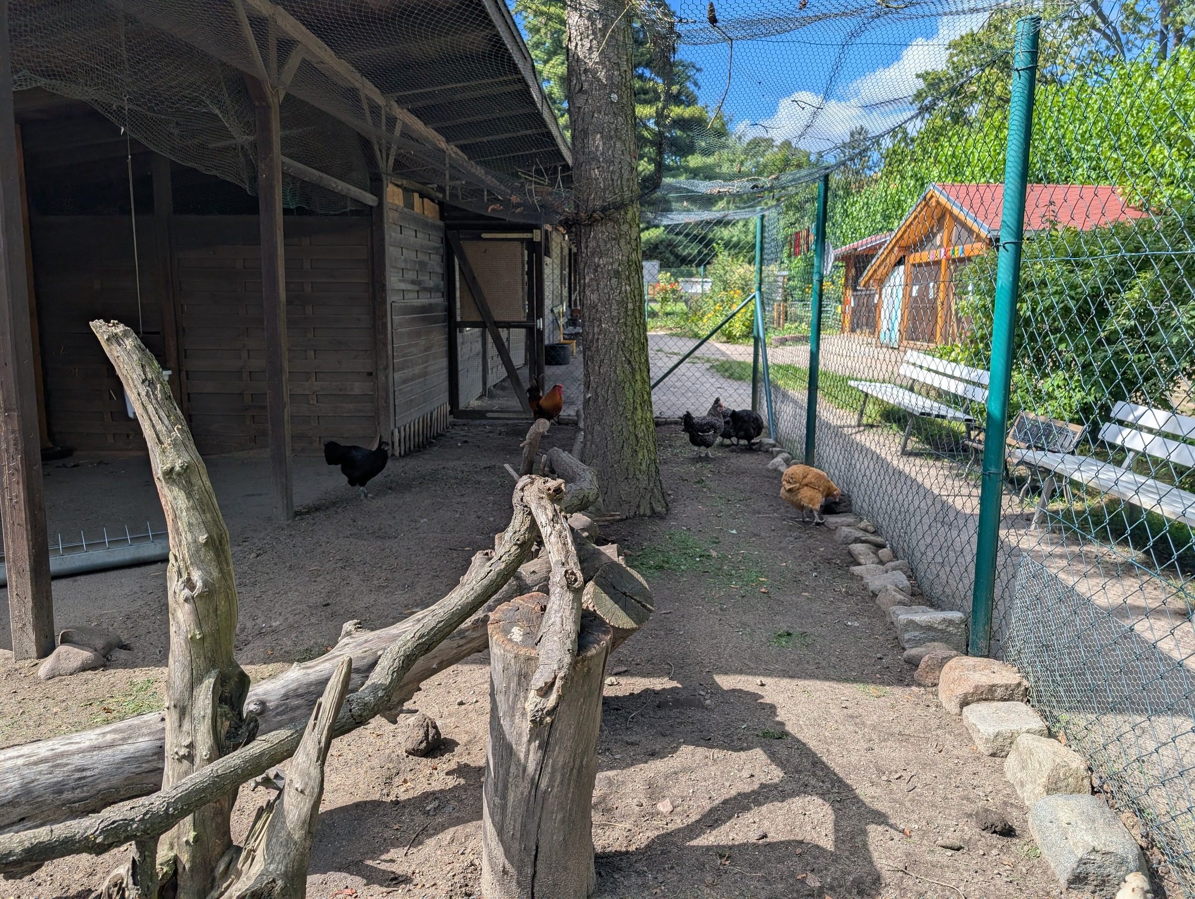 Kleintierhof Wuhletal – Ausflug mit Kindern, Foto 4