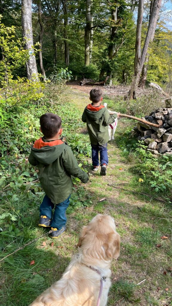 Mystischer Weg Schlangenbad