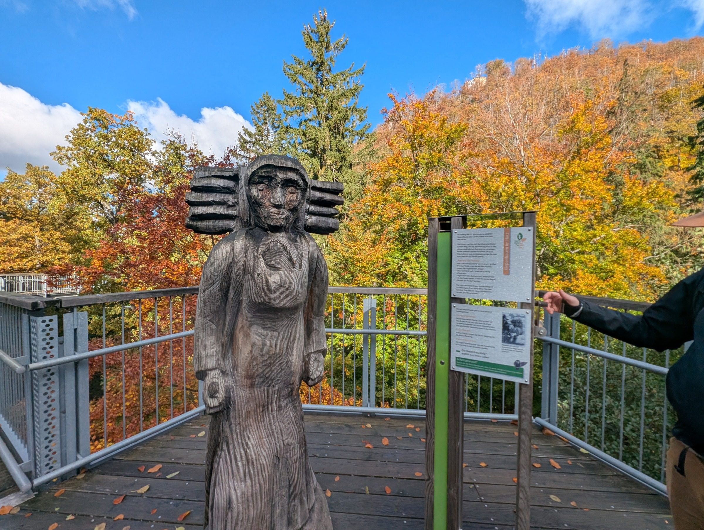 Baumwipfelpfad Harz – Ausflug mit Kindern, Foto 2