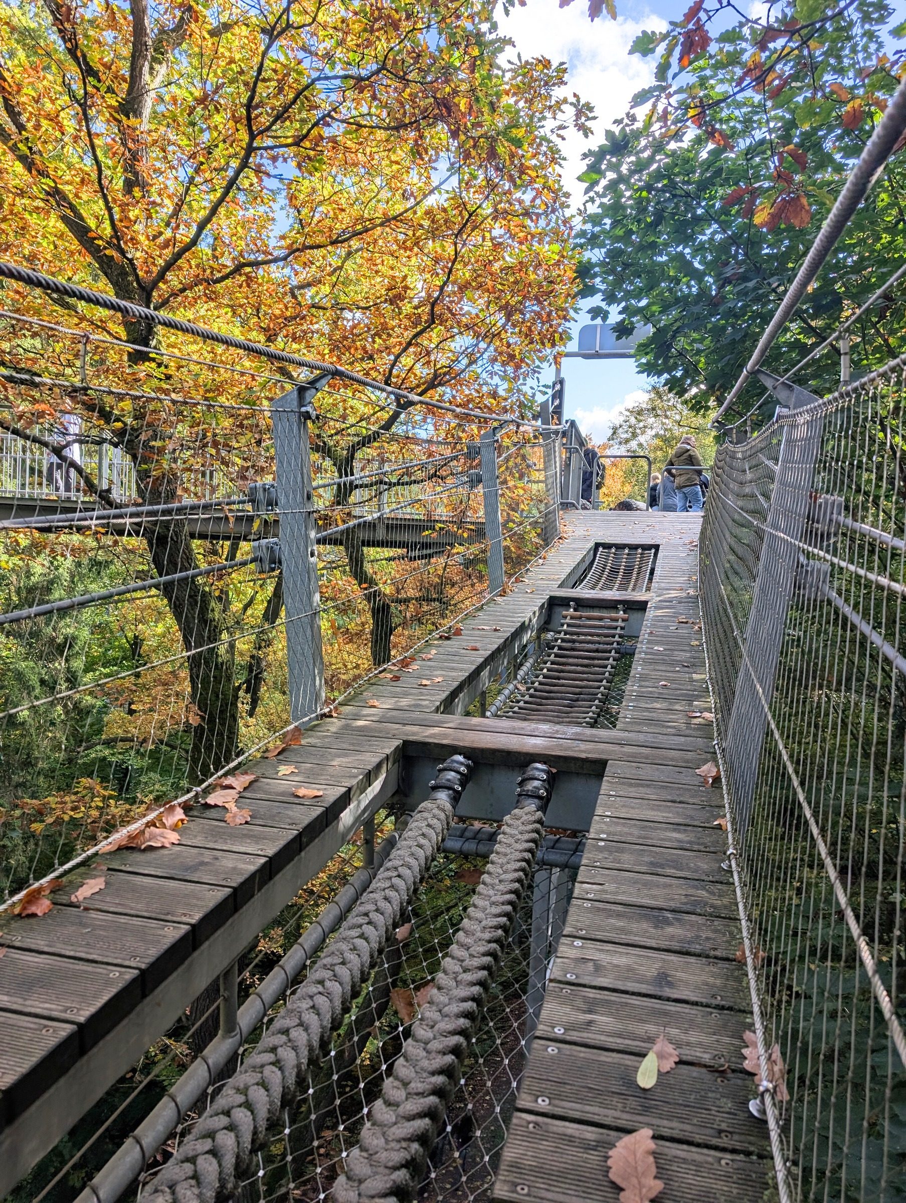 Baumwipfelpfad Harz – Ausflug mit Kindern, Foto 3