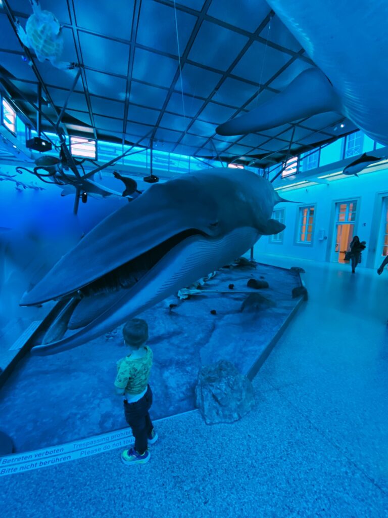 Naturkundemuseum Schloss Rosenstein in Stuttgart