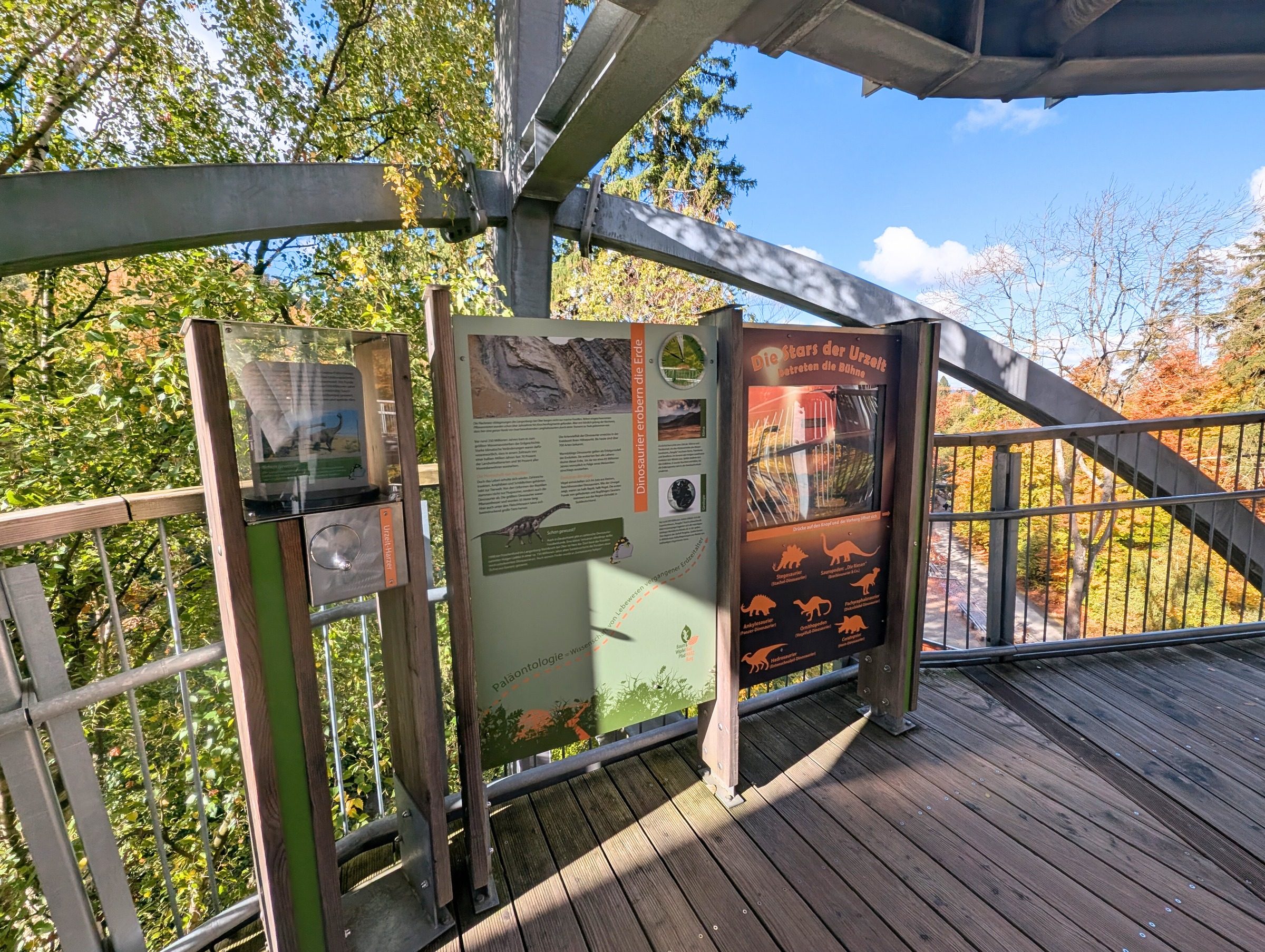 Baumwipfelpfad Harz – Ausflug mit Kindern, Foto 4