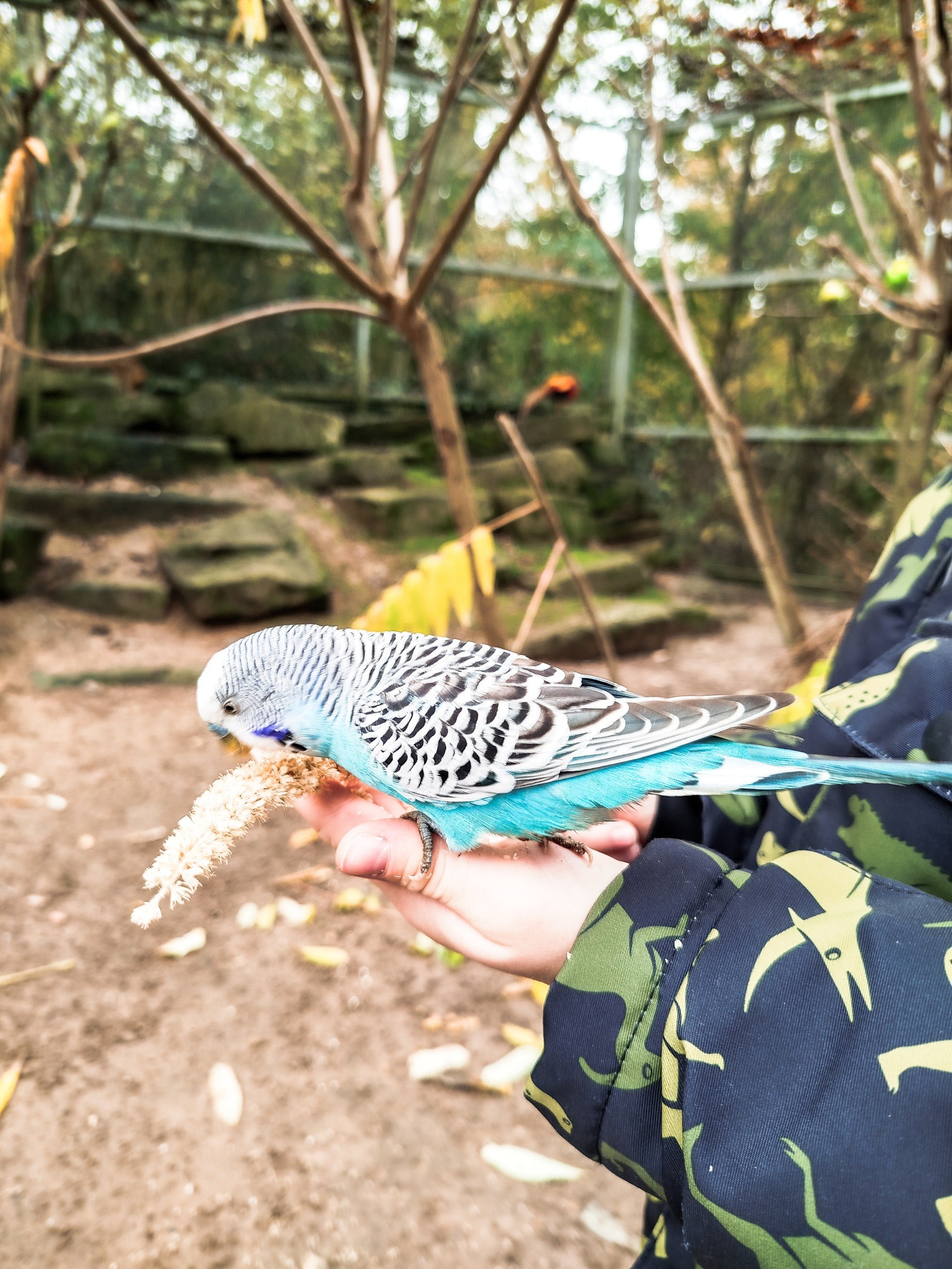 Tierpark Sababurg in Hofgeismar – Ausflug mit Kindern, Foto 2